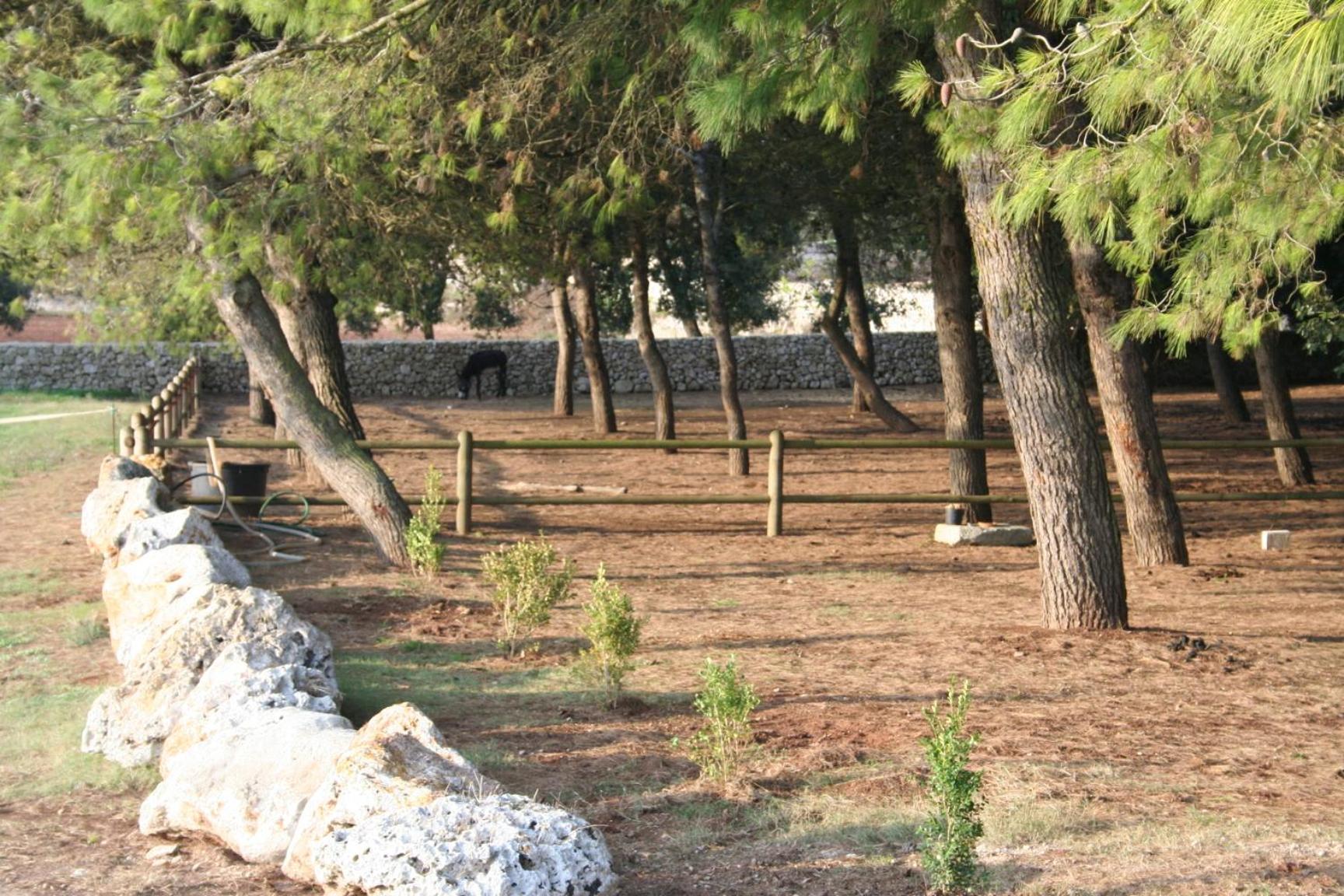 Masseria Autigne Otranto Kültér fotó